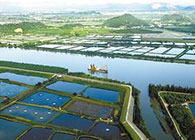 汪博士受邀至珠海市水产研究所举行学术交流