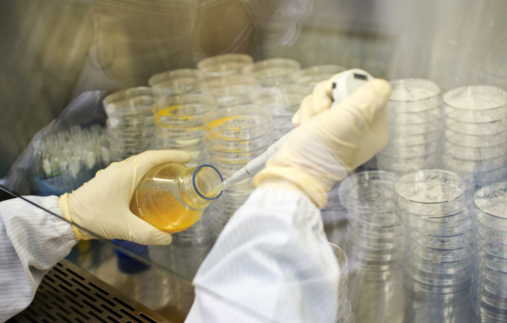 EBET易博·(中国集团)首页官网