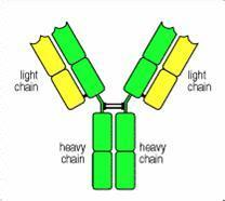 EBET易博·(中国集团)首页官网