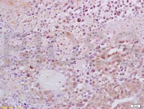 EBET易博·(中国集团)首页官网