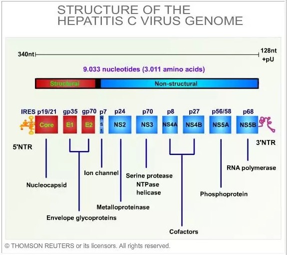 EBET易博·(中国集团)首页官网