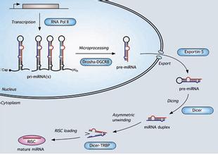 EBET易博·(中国集团)首页官网