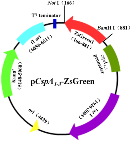 EBET易博·(中国集团)首页官网