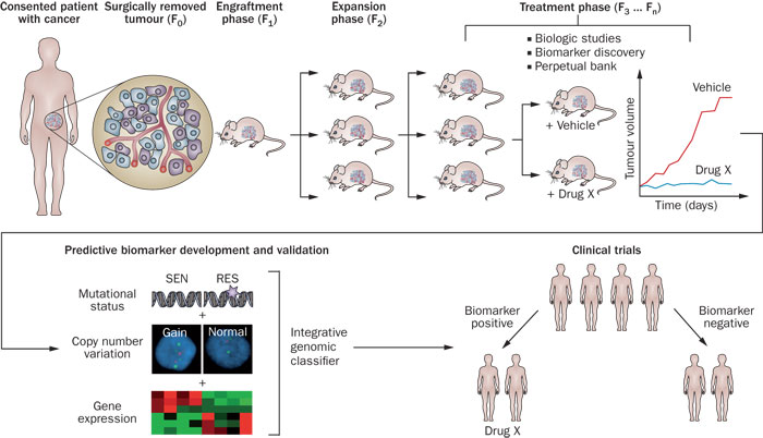 EBET易博·(中国集团)首页官网