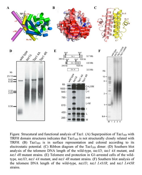 EBET易博·(中国集团)首页官网
