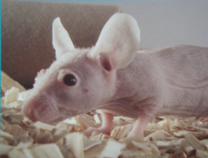 EBET易博·(中国集团)首页官网