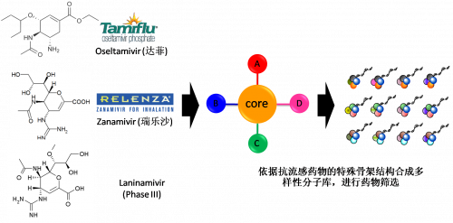 图2：以现有抗流感药物的结构为基础，举行多样性药物分子库的合成。。。