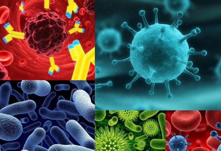 EBET易博·(中国集团)首页官网