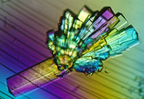 EBET易博·(中国集团)首页官网