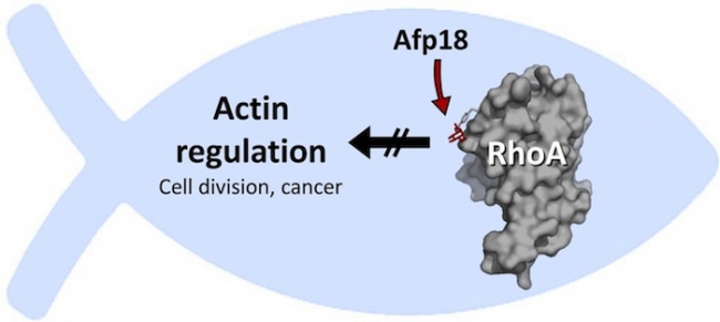 EBET易博·(中国集团)首页官网