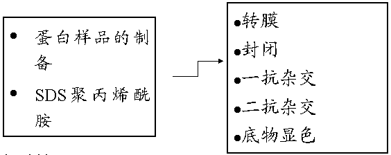EBET易博·(中国集团)首页官网