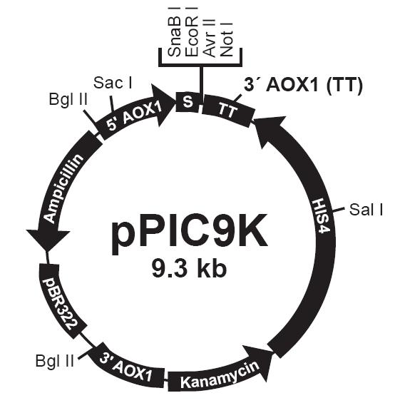 EBET易博·(中国集团)首页官网