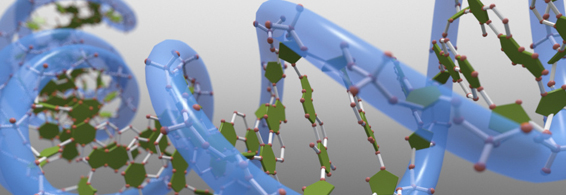 哺乳动物细胞卵白表达服务