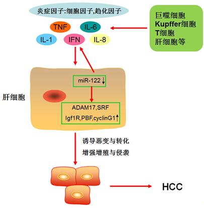 EBET易博·(中国集团)首页官网
