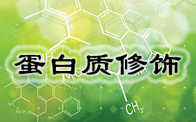 EBET易博·(中国集团)首页官网