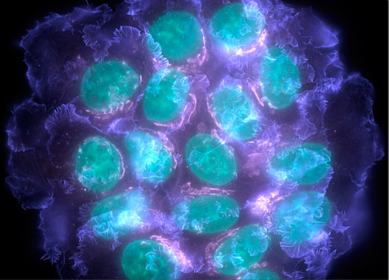 EBET易博·(中国集团)首页官网