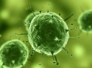 EBET易博·(中国集团)首页官网