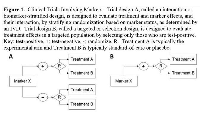EBET易博·(中国集团)首页官网