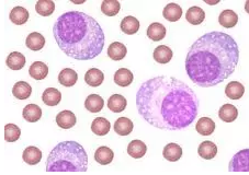 EBET易博·(中国集团)首页官网