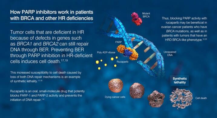 EBET易博·(中国集团)首页官网