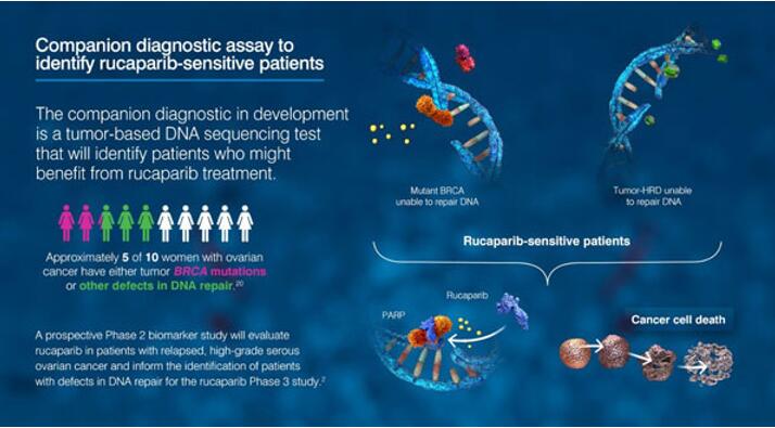 EBET易博·(中国集团)首页官网