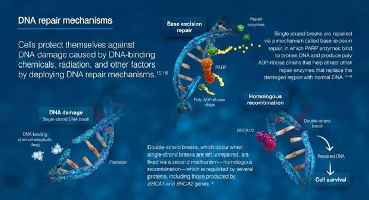 EBET易博·(中国集团)首页官网