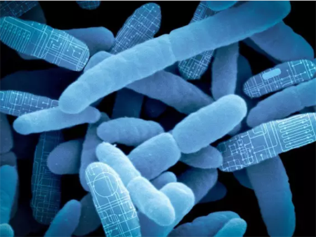 EBET易博·(中国集团)首页官网