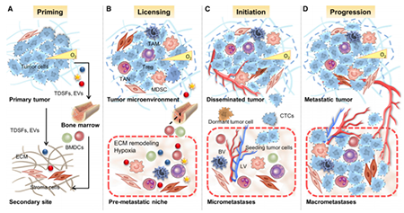 EBET易博·(中国集团)首页官网