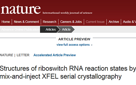 EBET易博·(中国集团)首页官网