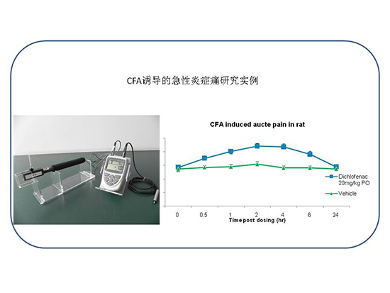 EBET易博·(中国集团)首页官网