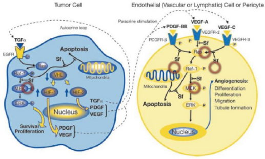 EBET易博·(中国集团)首页官网