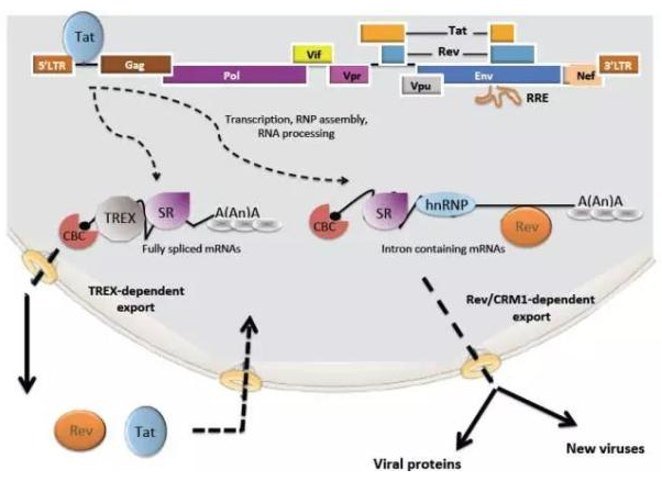 EBET易博·(中国集团)首页官网