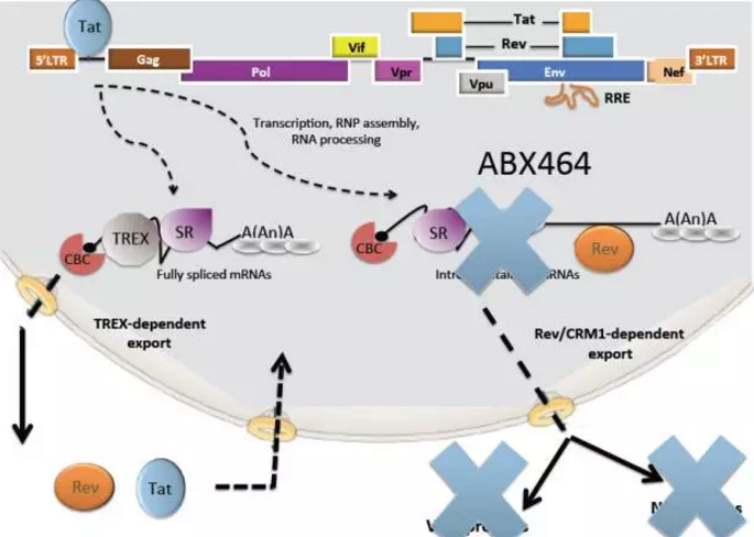 EBET易博·(中国集团)首页官网