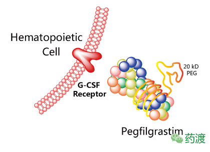 EBET易博·(中国集团)首页官网