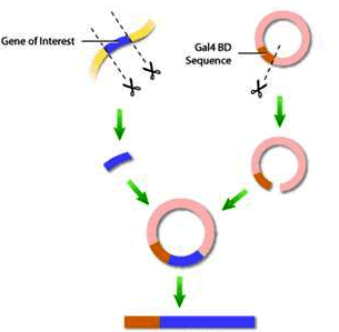 EBET易博·(中国集团)首页官网