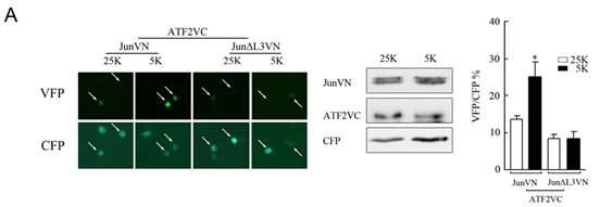 EBET易博·(中国集团)首页官网