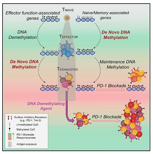 EBET易博·(中国集团)首页官网