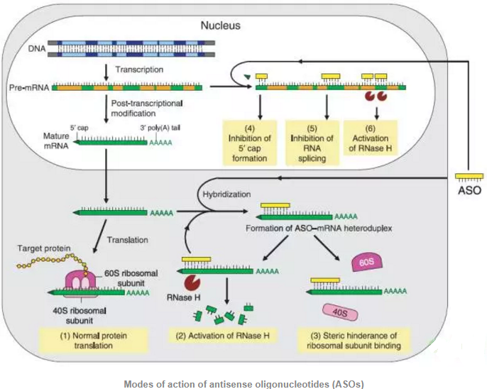 EBET易博·(中国集团)首页官网
