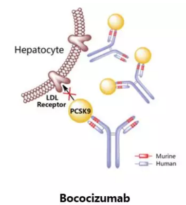 EBET易博·(中国集团)首页官网