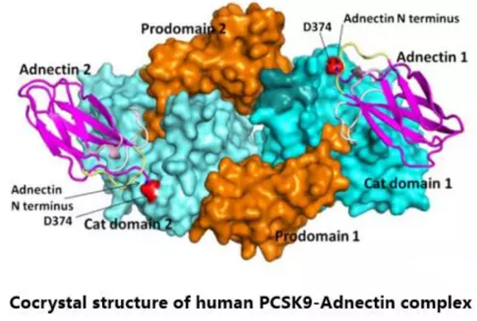 EBET易博·(中国集团)首页官网
