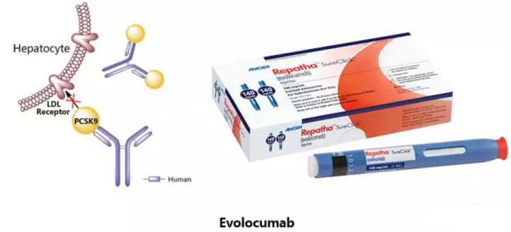 EBET易博·(中国集团)首页官网