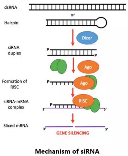 EBET易博·(中国集团)首页官网