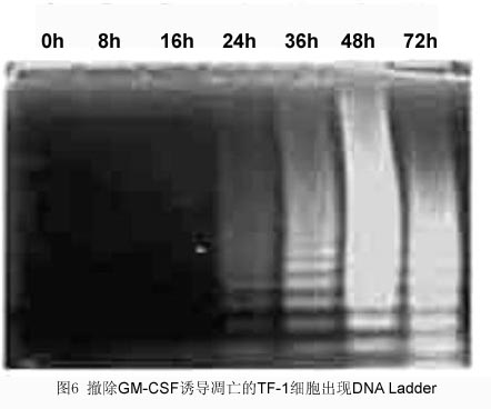 EBET易博·(中国集团)首页官网