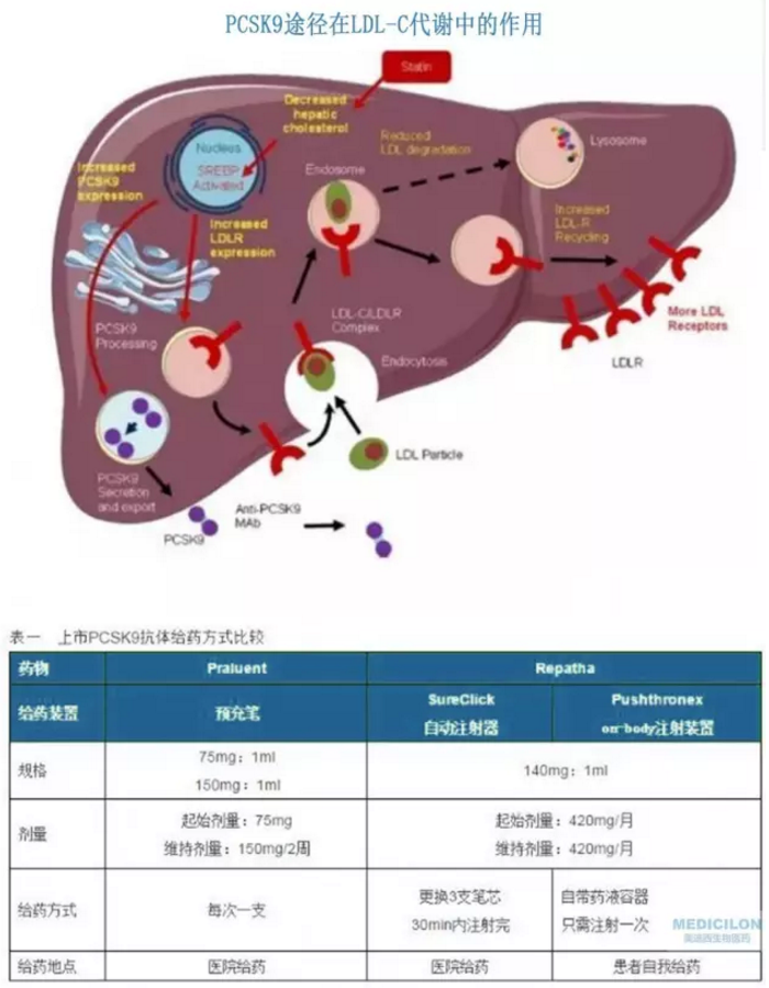 EBET易博·(中国集团)首页官网