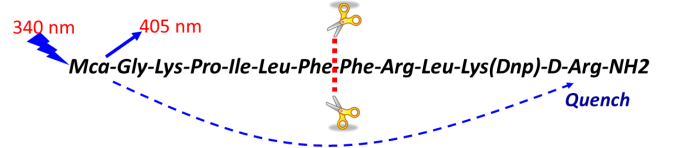 EBET易博·(中国集团)首页官网