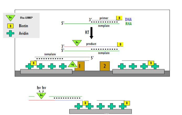 EBET易博·(中国集团)首页官网