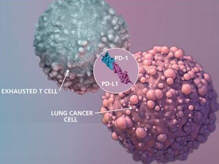 EBET易博·(中国集团)首页官网