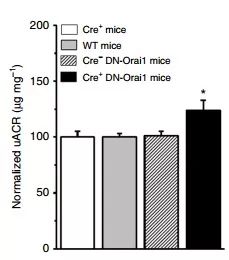 EBET易博·(中国集团)首页官网