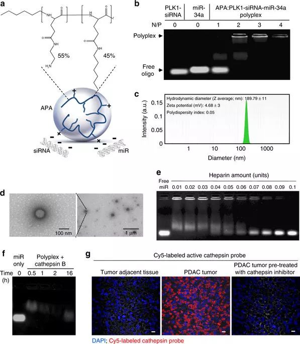EBET易博·(中国集团)首页官网