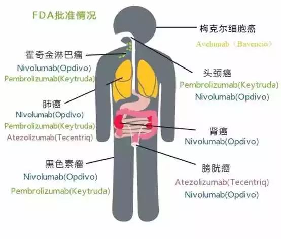 EBET易博·(中国集团)首页官网